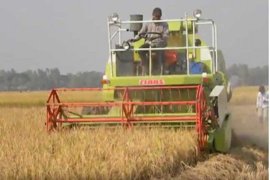 A combine harvester in operation on a paddy field in Bogra
