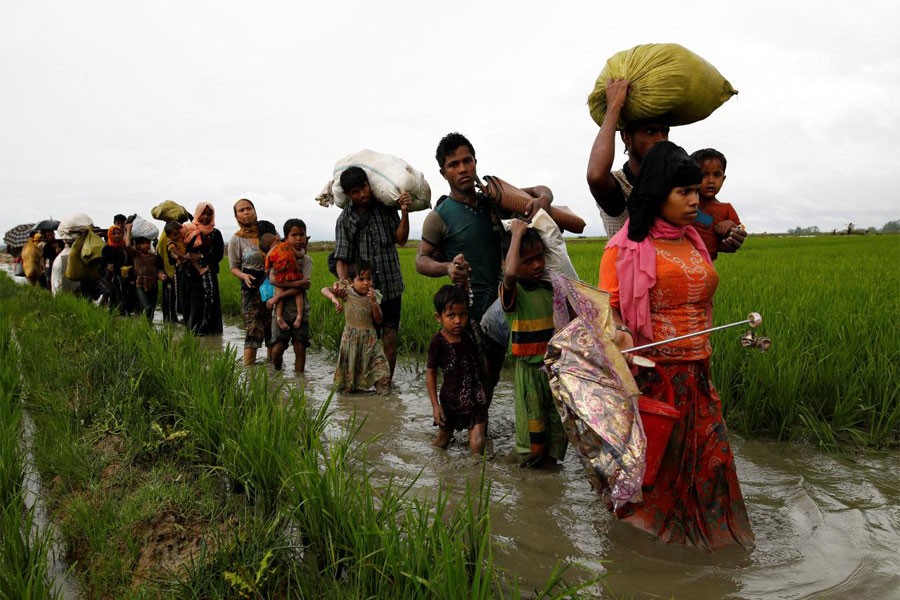 70pc Rohingyas doubtful of Myanmar govt recognising their rights: Survey