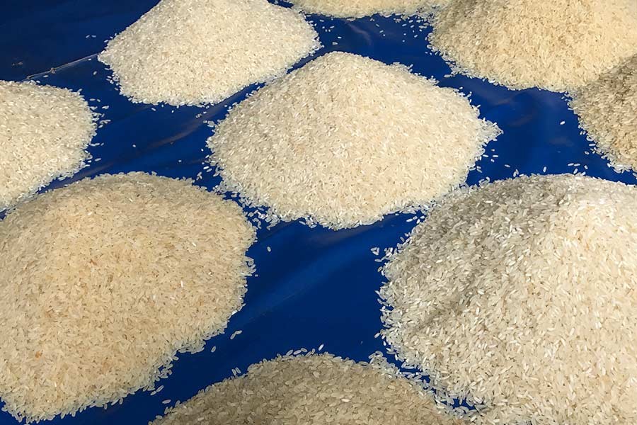 Govt targets 36.4m MT rice production in FY19