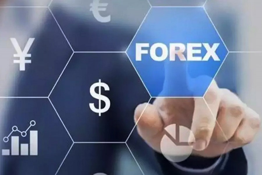 Forex reserves slide to about $31b in Nov