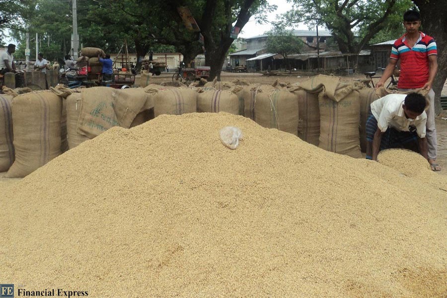 A rice wholesale market in Bogura district. The photo was snapped on Thursday (FE Photo)