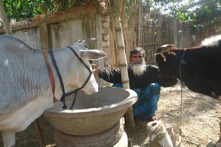 Cattle fattening turns fortune of Aziz