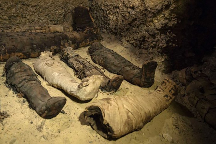 Recently discovered mummies lie in a desert burial chamber south of Cairo. AP photo