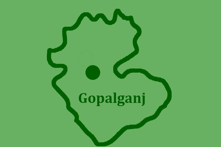 Bank official among two dies as bus plunges into Gopalganj ditch