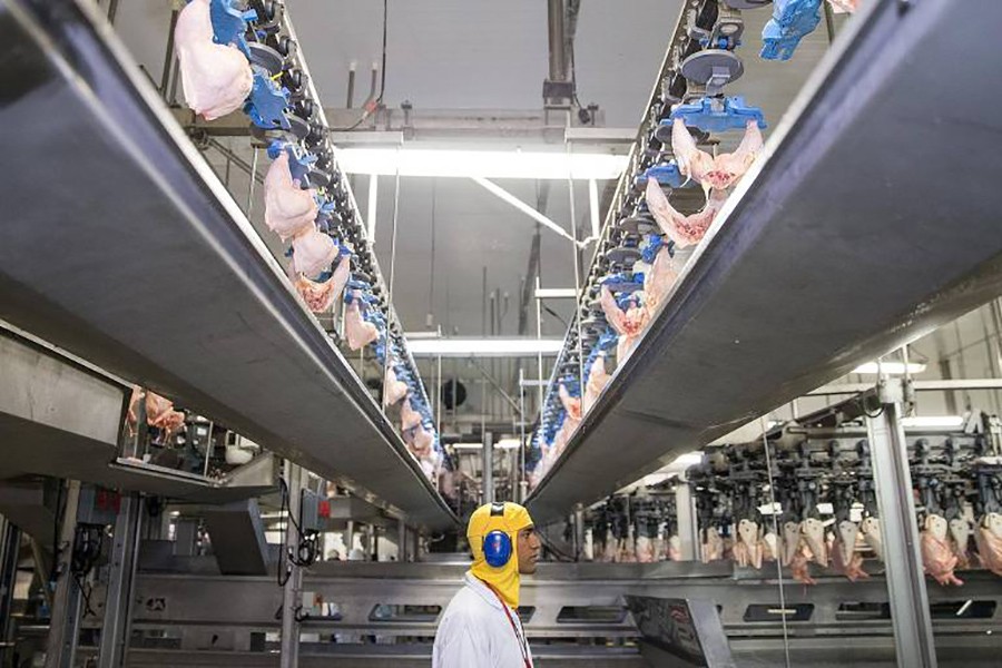 Inside meatpacking company BRF SA, one of the biggest food companies in the world. File photo (collected)