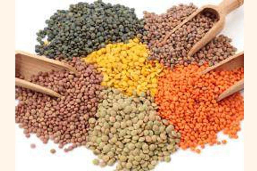 Bumper lentil output likely in Bogura