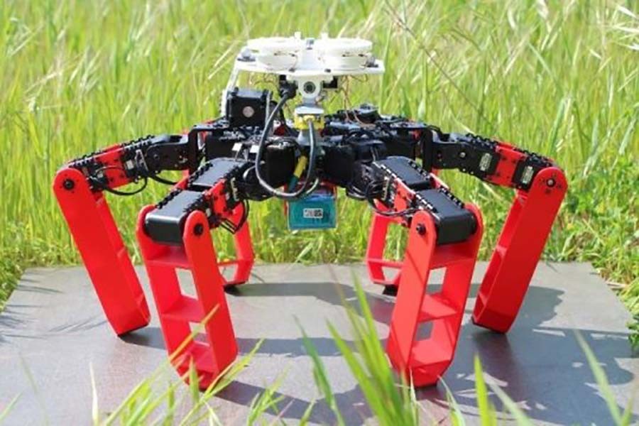 Antbot, the first walking robot that moves without GPS. Photo: ScienceDaily