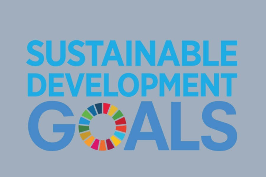 BD seeks greater int’l support to achieve SDGs