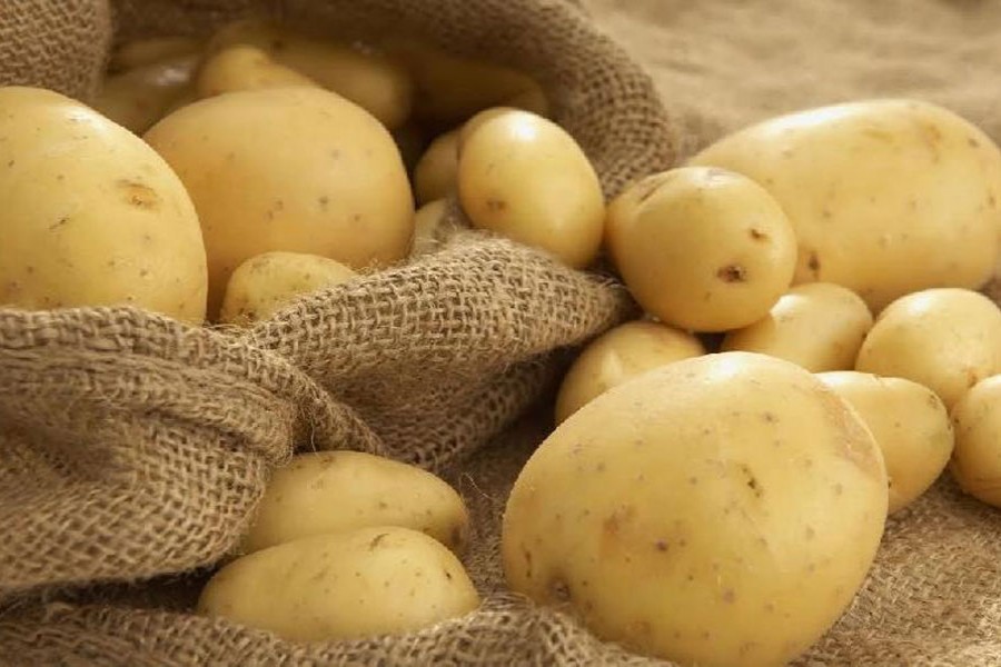 Exporting potatoes