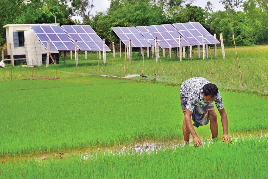 Use of solar power for irrigation   