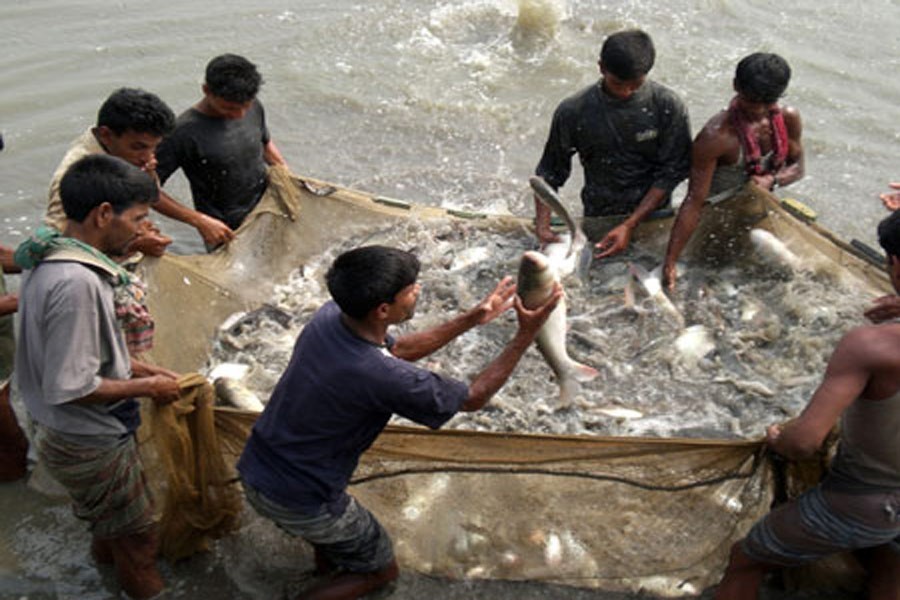 Raising output of indigenous fish   
