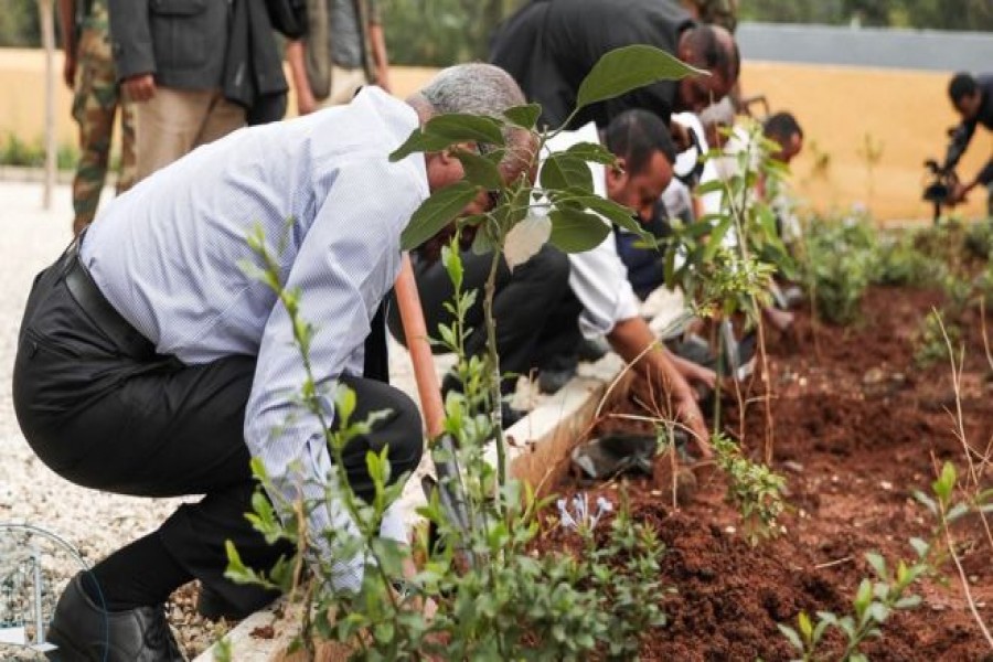 Ethiopia ‘breaks’ tree-planting record to combat climate change