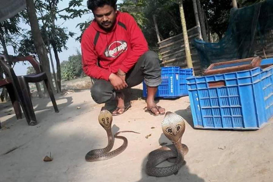Borhan Biswas Rumon—a snake lover and farmer