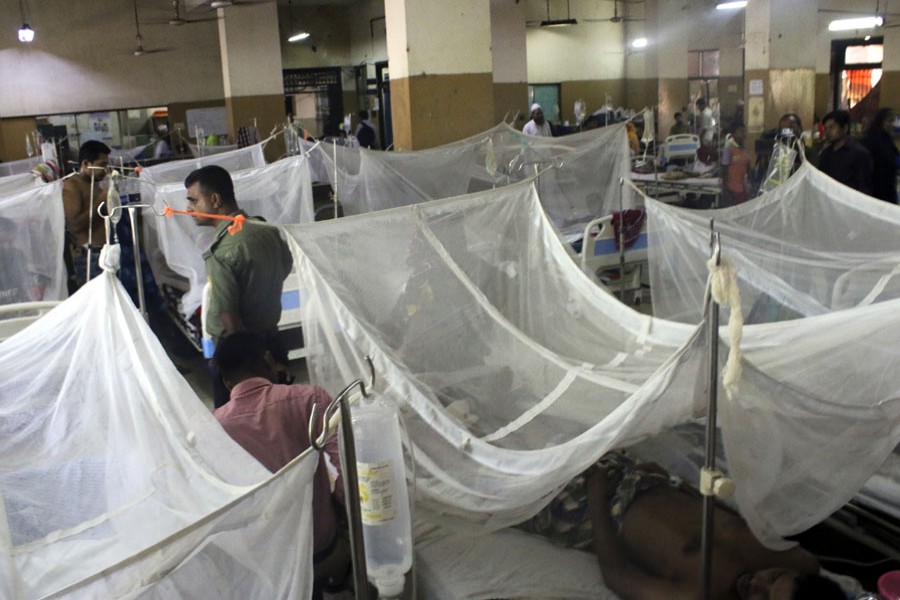 184 new dengue patients hospitalised in 24 hrs