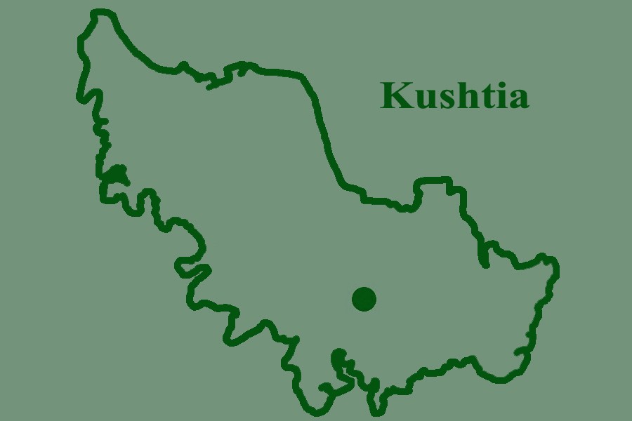 Kushtia road crash kills two motorcyclists