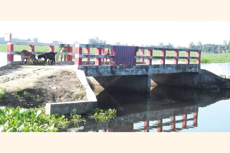 A bridge over the Gozony Beel in the Shagota area of Hatkhali union under Suzanagar upazila in the district lying unused for a long time due to absence of link road for a long time 	— FE Photo