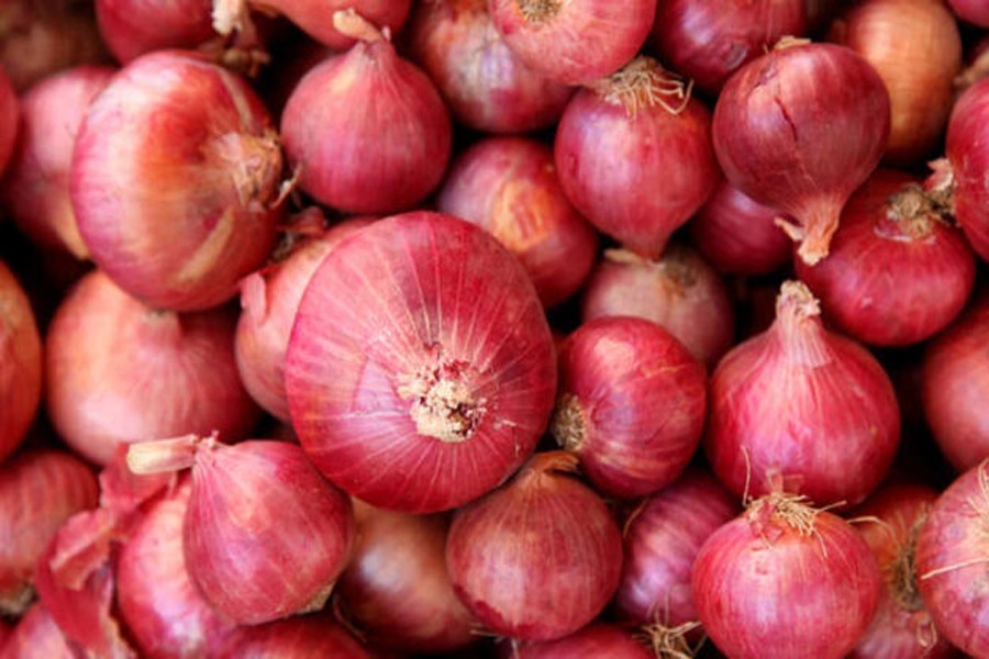 MPs shares concerns, anger over spiralling onion prices
