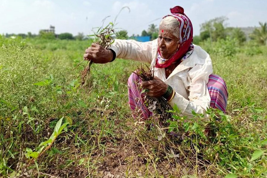 Untimely rains delay India's rural economy recovery