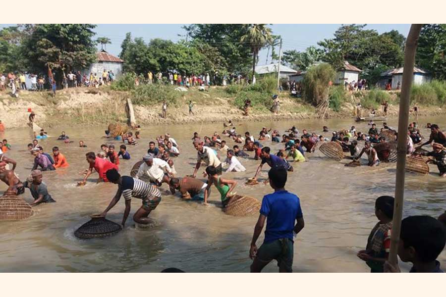 People catching fish in the Kontinala river with the help of the traditional fishing trap 'Polo' at an event Polo Bawa under Juri upazila of Moulvibazar on Sunday   	— FE Photo