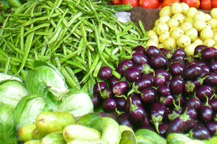 Vegetable can expedite pace of economic progress: Agriculture minister