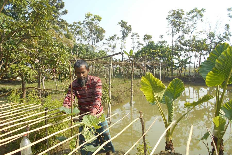Amirul working at his farm in Magura Sadar upazila    	— FE Photo
