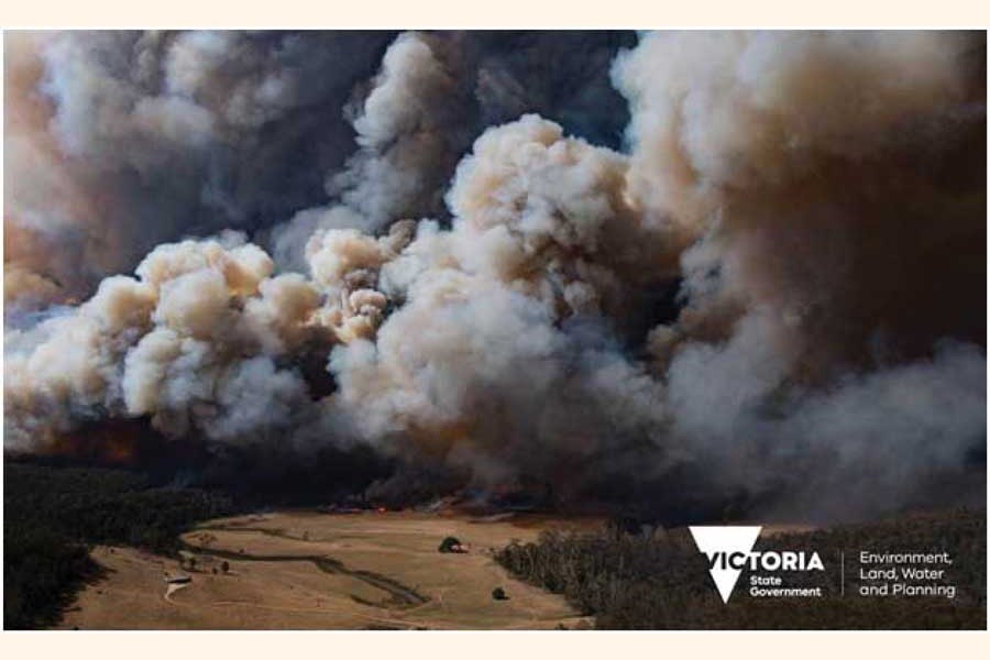 A fire in the East Gippsland region of Victoria, Australia on December 30, 2019.       —Photo by Ned Dawson for Victoria State Government.