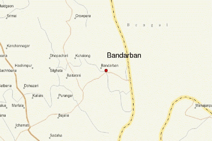 RAB destroys poppy fields in Bandarban