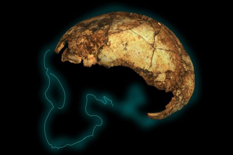 2-million-year-old skull of human ancestor in S Africa unearthed