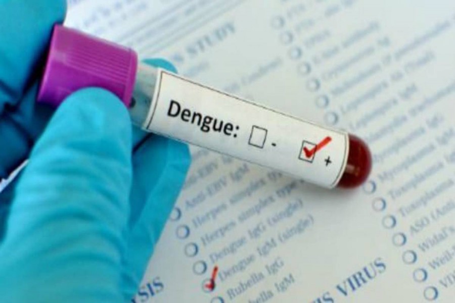 Three dengue patients hospitalised in 24 hours