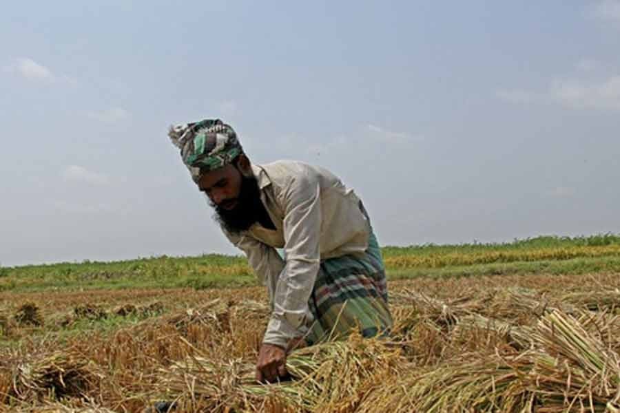 Interest rate on farm loans now 4pc