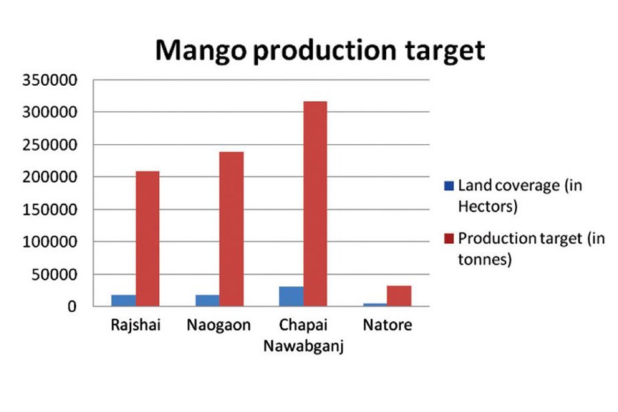 Amphan ravages Rajshahi mango hub