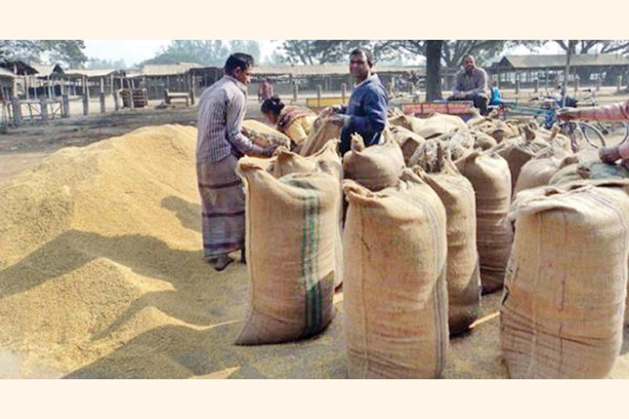 Rice, paddy procurement witnesses poor progress