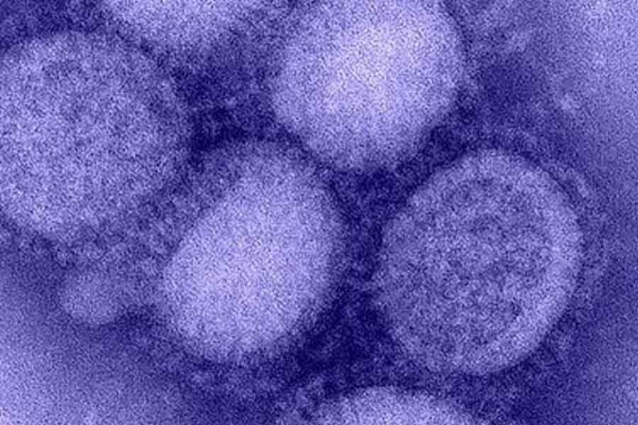 Another 'pandemic potential' flu virus found in China
