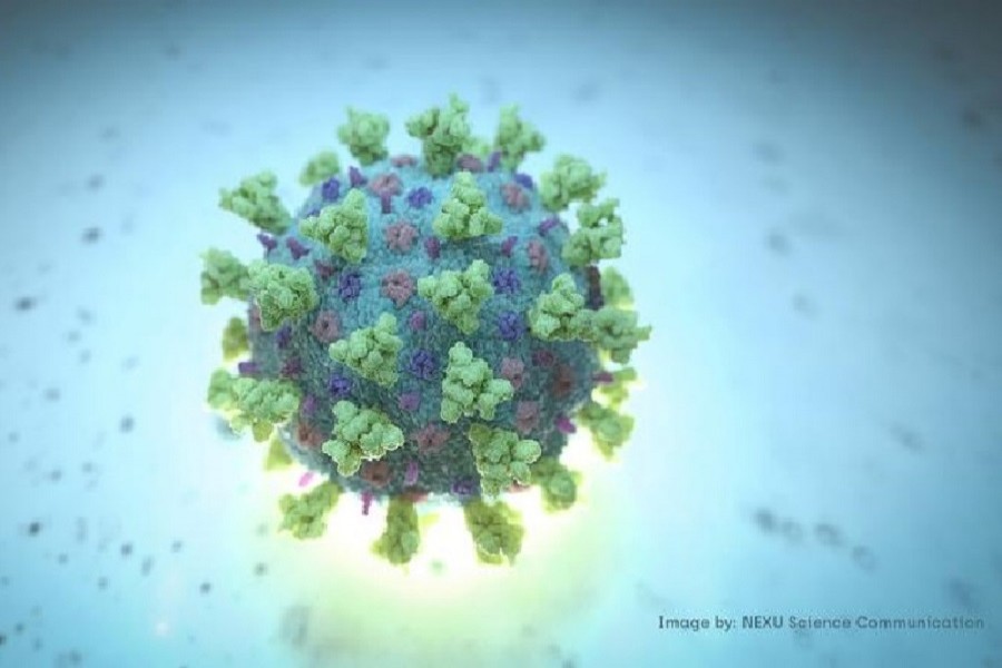 A computer image created by Nexu Science Communication together with Trinity College in Dublin, shows a model structurally representative of a betacoronavirus which is the type of virus linked to Covid-19, better known as the coronavirus linked to the Wuhan outbreak, shared with Reuters on February 18, 2020 — NEXU Science Communication/via Reuters