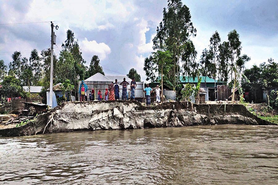 Villagers remain the silent witnesses to the fury of the mighty Jamuna on Saturday as it is devouring houses, cropland and whatever else on the river bank at Pukuria under Chowhali upazila of Sirajganj — Focus Bangla