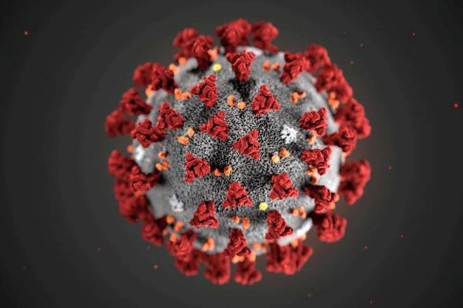 Global coronavirus cases top 54 million
