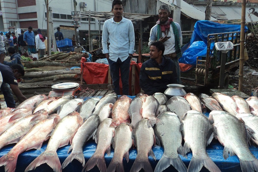 A stall of fish fair at Fotteh Ali Bazar in Bogura Sadar upazila — FE Photo