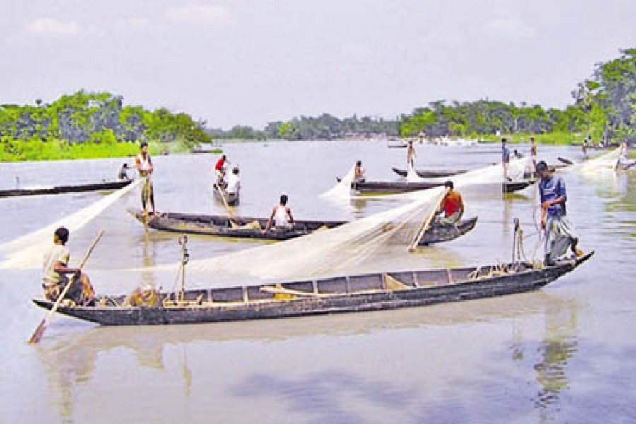 Halda River declared Bangabandhu Fisheries Heritage