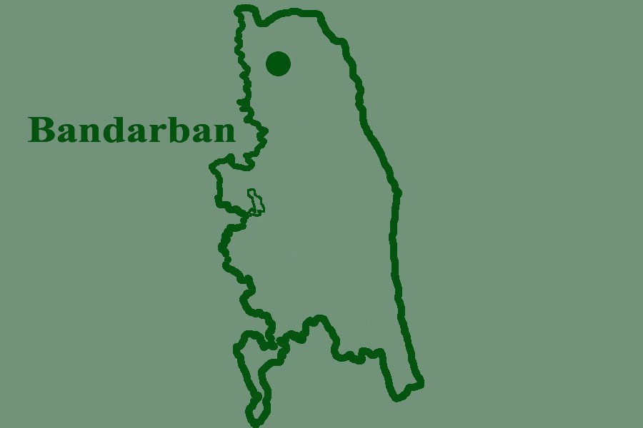 Two teens killed in elephant attack in Bandarban