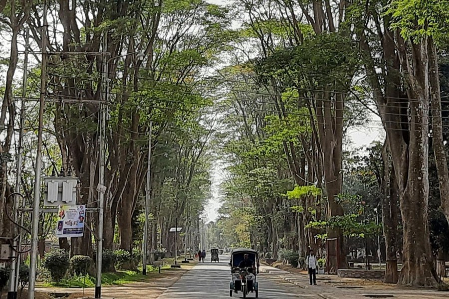 A partial view of the 'Paris Road' on Rajshahi University campus — FE Photo