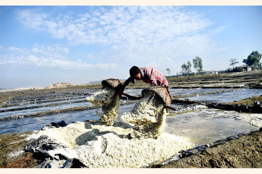 A farmer unloads raw salt at Moheshkhali in Cox's Bazar 	—Xinhua Photo