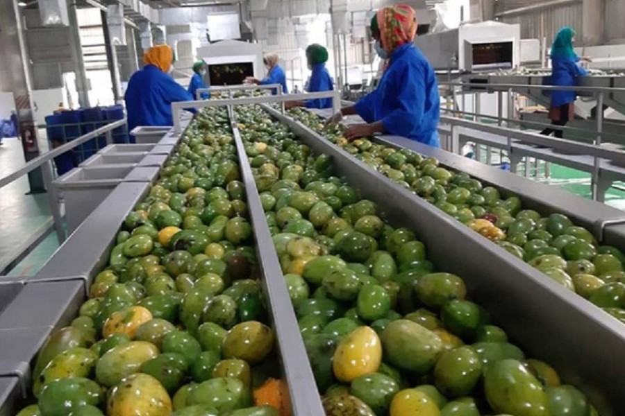 Agro-based industries get 10-year tax exemption