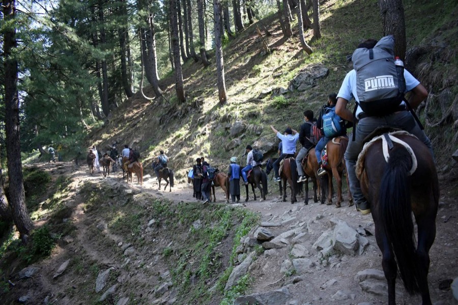 Healthcare workers trek to inoculate shepherds with COVISHIELD, a coronavirus disease (Covid-19) vaccine manufactured by Serum Institute of India, during a vaccination drive at Lidderwat near scenic Pahalgam in south Kashmir's Anantnag district on June 10, 2021 — Reuters/Files