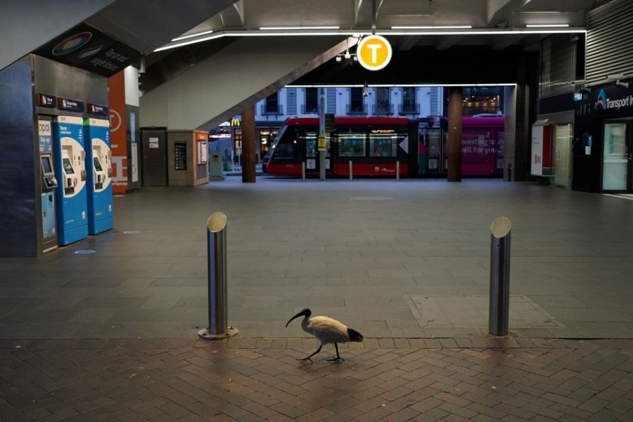 A lone bird walks past the quiet Circular Quay train station during a lockdown to curb the spread of a coronavirus disease (Covid-19) outbreak in Sydney, Australia on July 28, 2021 — Reuters photo