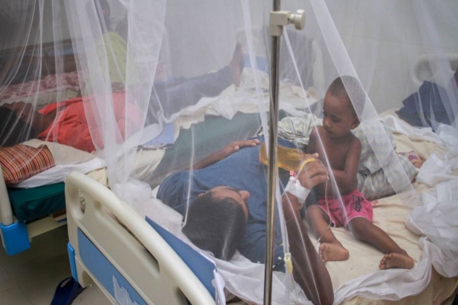 Dengue: One more die, 317 hospitalised in 24 hrs