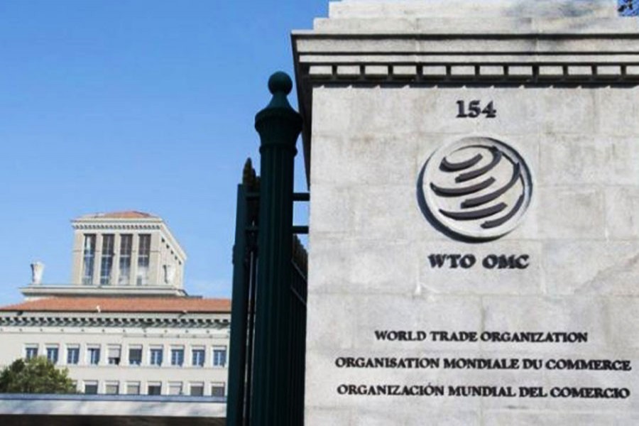 100 days at the WTO: what have I learned?