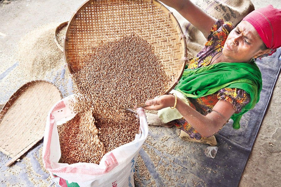 This female worker is busy separating wheat grains with a sieve at a flour mill in Kawran Bazar of the city on Saturday — FE photo by Shafiqul Alam