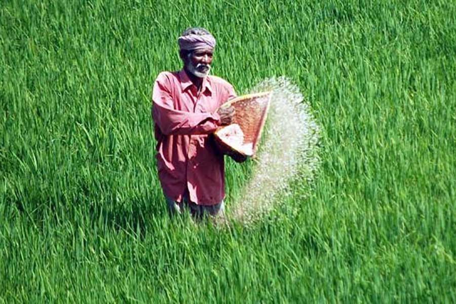 Govt to lower fertiliser usage target for FY23
