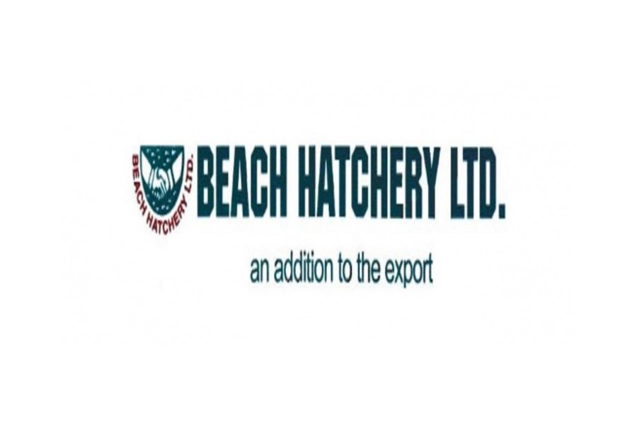 Auditor casts doubts on Beach Hatchery’s asset disclosure