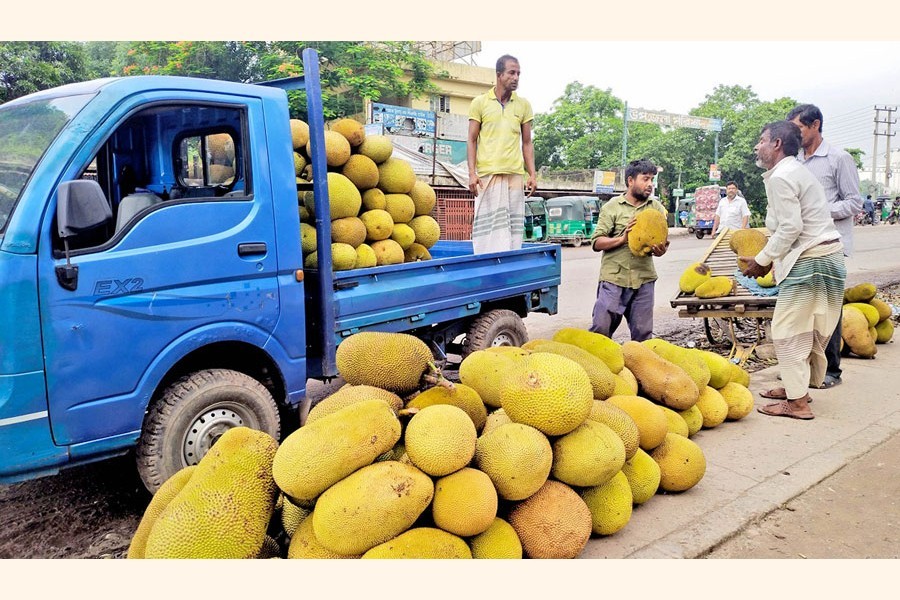 FAO to implement a project to promote production, marketing of jackfruit